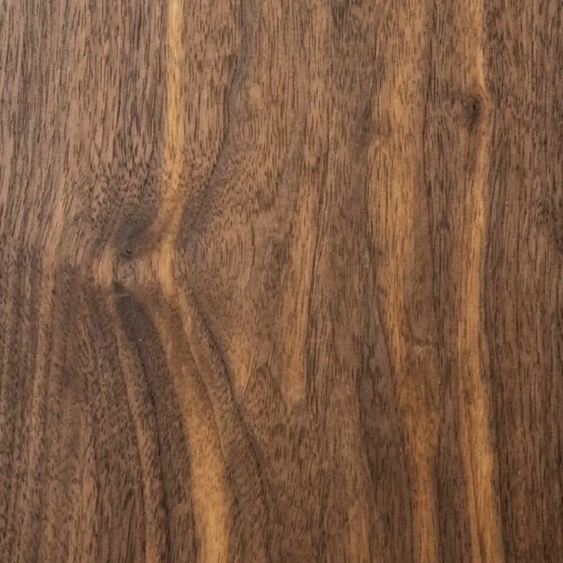 American walnut grain with natural oil, close up
